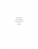 Ejemplo de la Contabilidad