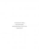Anatomofisiología Humana y Primeros Auxilios El sistema Respiratorio Humano