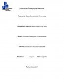 LOGROS Y DIFICULTADES EN LA PRACTICA DOCENTE