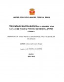 MONOGRAFÍA DE GRADO PREVIO LA OBTENCIÓN DEL TÍTULO DE BACHILLER EN CIENCIAS