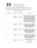 PRACTICA PROFESIONAL ODONTOPEDIATRICA GRUPO 4 SECCIÒN 14