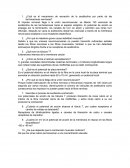 Cuál es el mecanismo de secreción de la acetilcolina por parte de las terminaciones nerviosas?