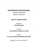 E.E. CARLA MARLEN MENDOZA SANTIAGO