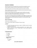 Estudio de Viabilidad Plan de Marketing