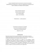 Cual es la Cadena transportadora de baldosas