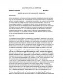 Ensayo Análisis estructural de Corporación El Rosado S.A