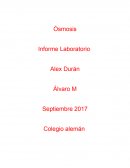 Ósmosis Informe Laboratorio