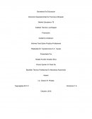 Informe Final Sobre Practica Profesional Realizada En Toyoservicios S.A. Toyota
