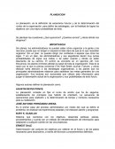 PLANEACION EN EL PROCESO ADMINISTRATIVO