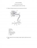 MODELOS DE ENSEÑANZA MEDIANTE EL CONFLICTO COGNITIVO