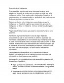 Desarrollo de la inteligencia. Es la capacidad cognitiva