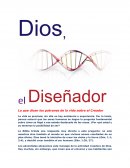 Dios el diseñador