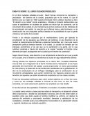 Ensayo sobre el libro "ciudades rebeldes"