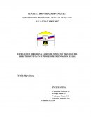 ESTRATEGIAS DIRIGIDAS A PADRES DE NIÑOS CON TRASTONO DEL ESPECTRO AUTISTA EN SU PROCESO DE ORIENTACION SEXUAL.