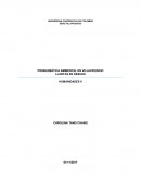 PROBLEMÁTICA AMBIENTAL EN VILLAVICENCIO LLANTAS EN DESUSO