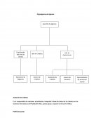 Organigrama de Agencia Asistente de Créditos