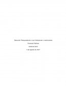 Ejecución Presupuestaria y sus limitaciones y restricciones Finanzas Públicas