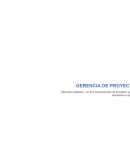 GERENTE DE PROYECTO La organización del proyecto