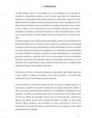 Las enfermedades crónicas no transmisibles