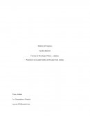 Evaluación de la Memoria en Consumidores de Cannabis