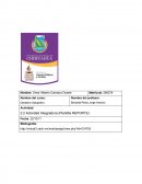 Actividad Integradora (Plantilla REPORTE)
