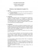 Informe vista Industrial Azende S.A.