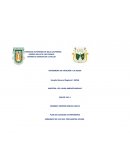 PLAN DE CUIDADOS DE ENFERMERIA EMBARAZO DE 33.3 SDG+ PRECLAMPSIA SEVERA