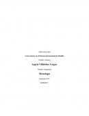 Conversiones en el Sistema Internacional de Medida