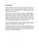 Ensayo del sistema penal mexicano