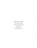 Aspecto ambiental y su impacto Evaluación de impacto ambiental