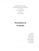 Biología Mecanismos de Evolución