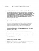 Tarea #1 ‘’La diversidad en las organizaciones’’