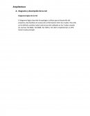 Arquitectura Diagrama y descripción de la red