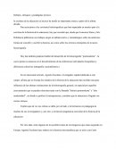 Debates, enfoques y paradigmas teoricos