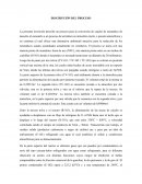 DESCRIPCIÓN DEL PROCESO para la conversión de caucho de neumático