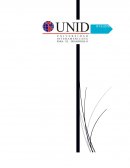 Marco Teórico: El uso de internet en México