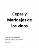 Cepas y Maridajes de los vinos