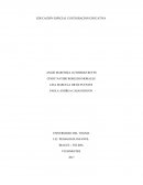 Ejemplo de Educación especial e integración educativa