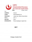 Ensayo de la película Acción Civil