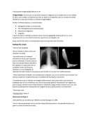 Transcripción Imagenología (Minuto 0-14)