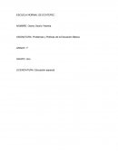 Ensayo sobre la educación basica