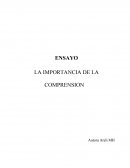 LA IMPORTANCIA DE LA COMPRENSION