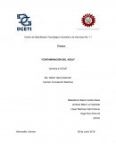 Ensayo “CONTAMINACIÓN DEL AGUA”