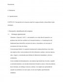 Descripción de la situación actual de la empresa donde se desarrollará el plan estratégico