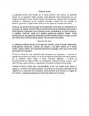 Glandula pinea profe gualli