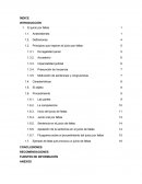 Motivación de sentencias y congruencias