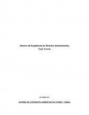 Informe Expediente de Derecho Administrativo
