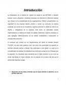 Resumen Ejecutivo sobre la Implantación de un sistema de calidad en las MIPYMES