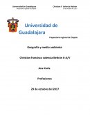 Profesiones y Medio ambiente