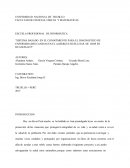 “SISTEMA BASADO EN EL CONOCIMIENTO PARA EL DIAGNOSTICO DE ENFERMEDADES CANINAS EN EL ALBERGUE HUELLITAS DE DIOS EN HUANCHACO”